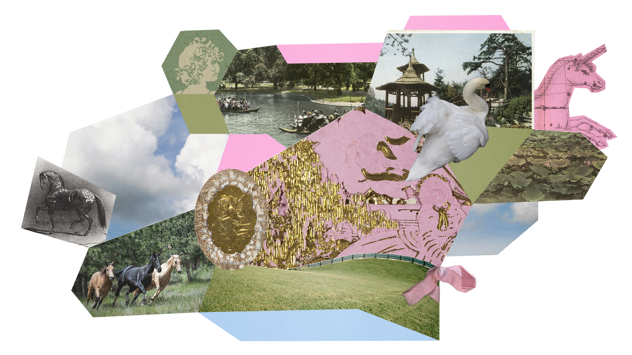 Collage of pink, green and blue abstract shapes and various images of nature and animals